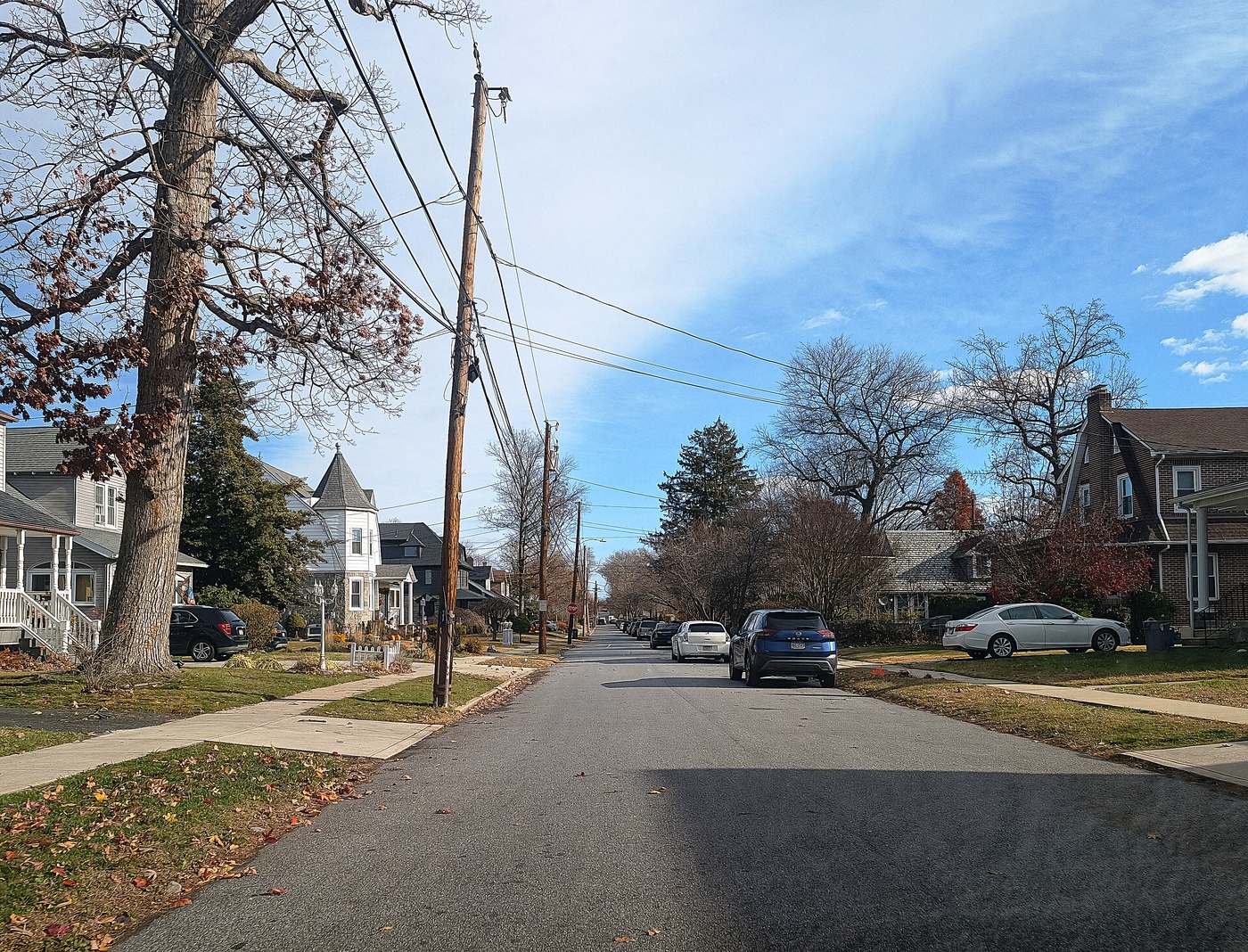 Trites Avenue in Norwood, between West Winona and Ridley. Same houses, different borough, different millage.